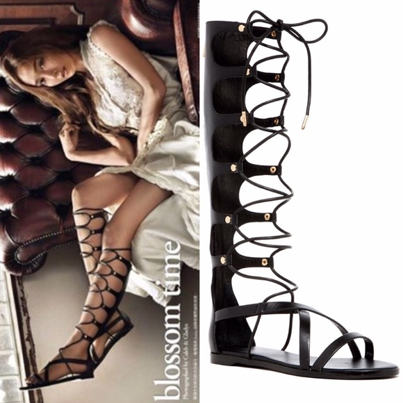 Rachel Zoe Shoes - 🏹🆕 Rachel Zoe ❉ Tall Festival Leather Gladiators